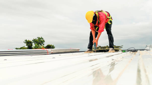 Best Emergency Roof Repair Services  in San Buenaventura, CA