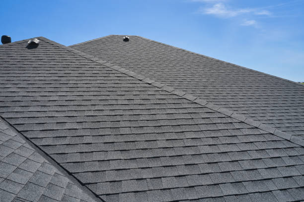 Best Solar Panel Roofing Installation  in San Buenaventura, CA